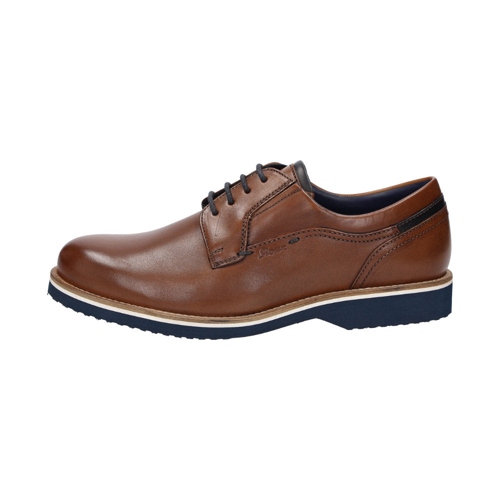Dilip-716-H Brown Lace-Up Shoes 12071