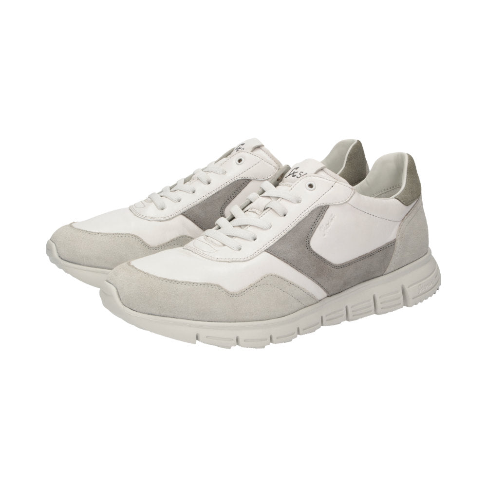 Mokrunner-H-019 Multi Trainers 12820