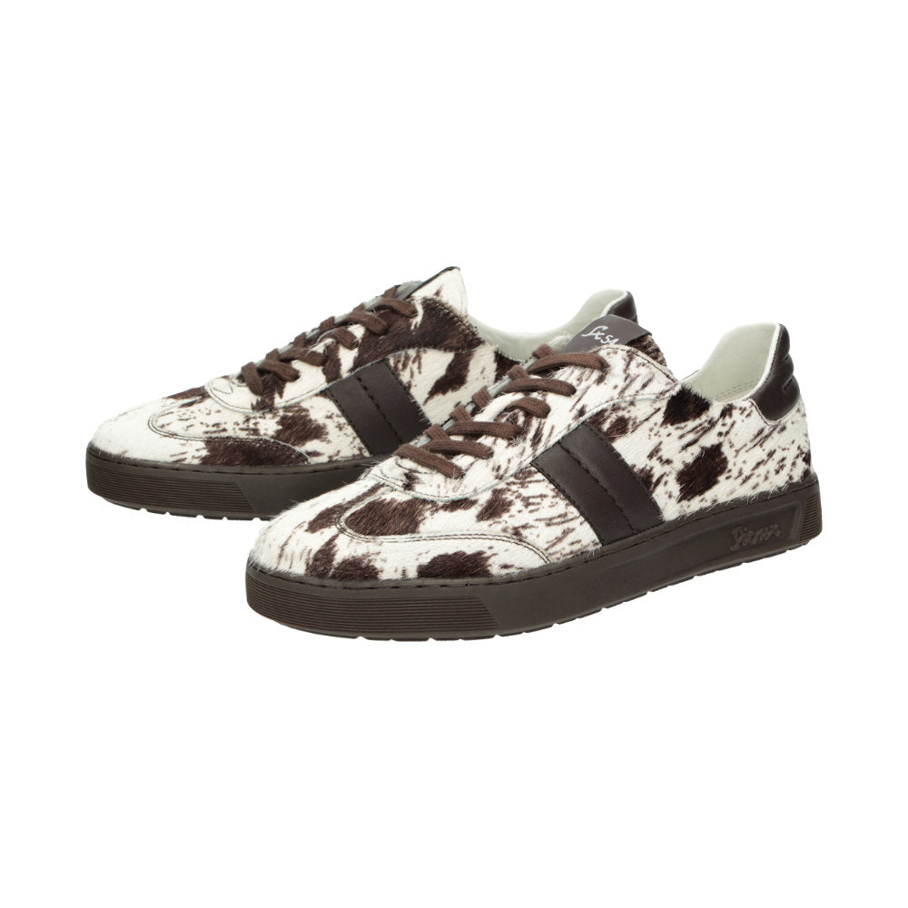 Tedroso-Da-717 Brown Trainers